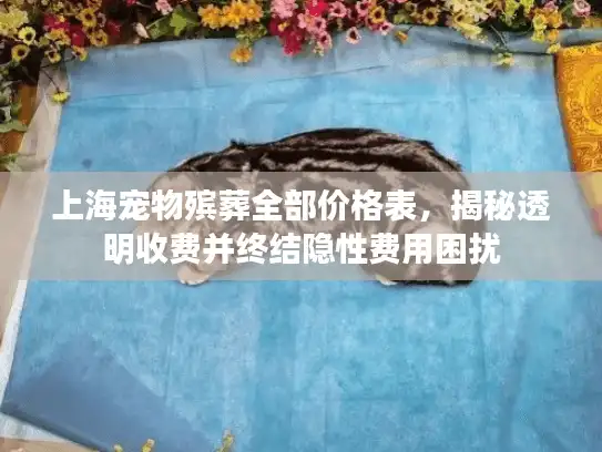 上海宠物殡葬全部价格表，揭秘透明收费并终结隐性费用困扰