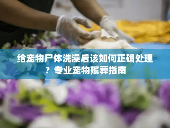 给宠物尸体洗澡后该如何正确处理？专业宠物殡葬指南