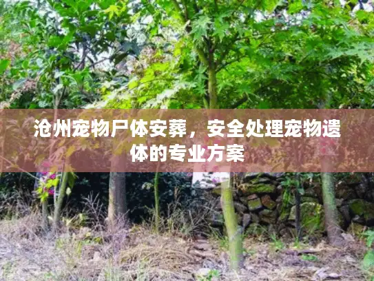 沧州宠物尸体安葬，安全处理宠物遗体的专业方案