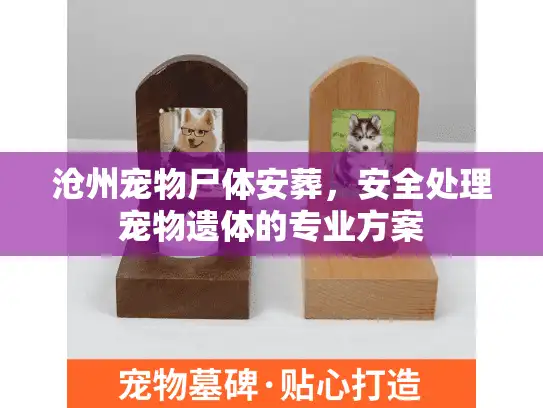 沧州宠物尸体安葬，安全处理宠物遗体的专业方案