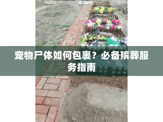 宠物尸体如何包裹？必备殡葬服务指南