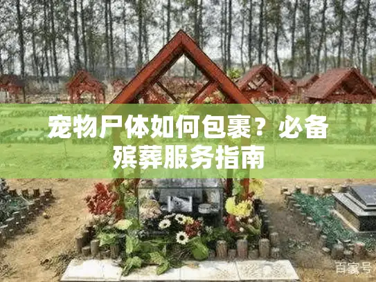 宠物尸体如何包裹？必备殡葬服务指南