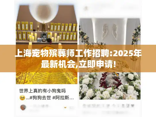 上海宠物殡葬师工作招聘:2025年最新机会,立即申请!