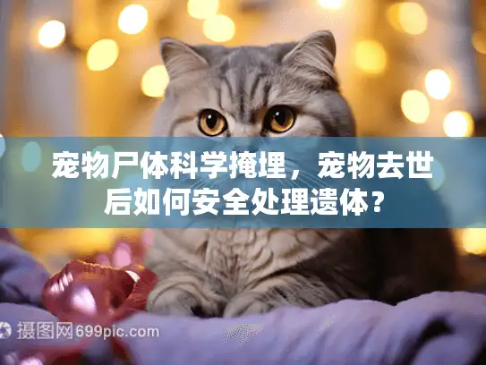 宠物尸体科学掩埋，宠物去世后如何安全处理遗体？
