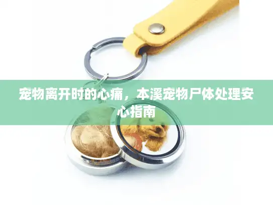 宠物离开时的心痛，本溪宠物尸体处理安心指南