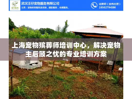 上海宠物殡葬师培训中心，解决宠物主后顾之忧的专业培训方案
