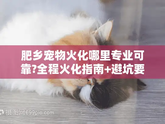 肥乡宠物火化哪里专业可靠?全程火化指南+避坑要点