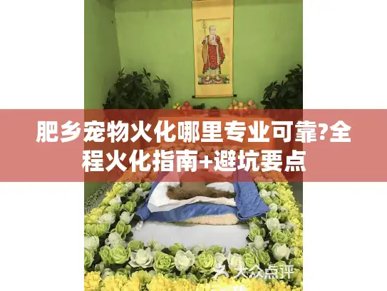 肥乡宠物火化哪里专业可靠?全程火化指南+避坑要点
