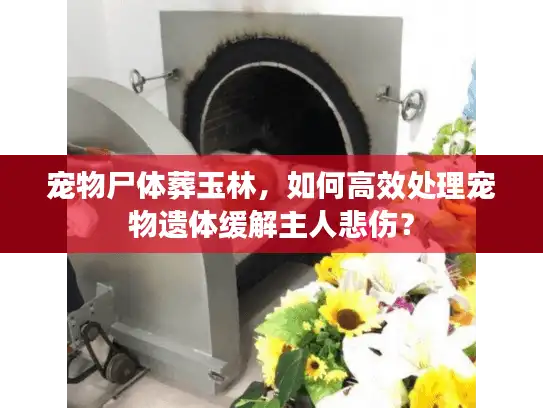 宠物尸体葬玉林，如何高效处理宠物遗体缓解主人悲伤？