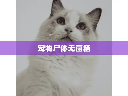 宠物尸体无菌箱