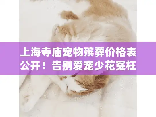 上海寺庙宠物殡葬价格表公开！告别爱宠少花冤枉钱(含隐藏收费解析)