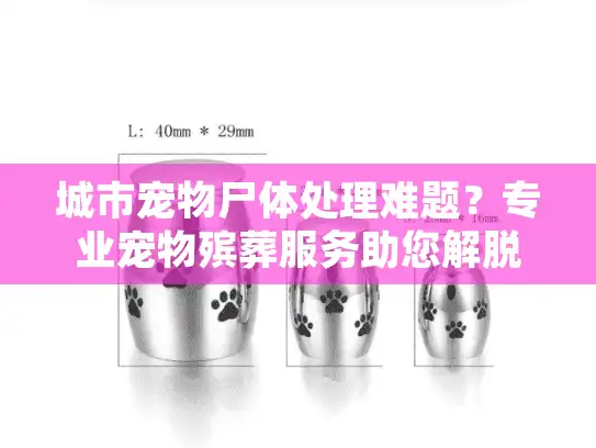 城市宠物尸体处理难题？专业宠物殡葬服务助您解脱困境