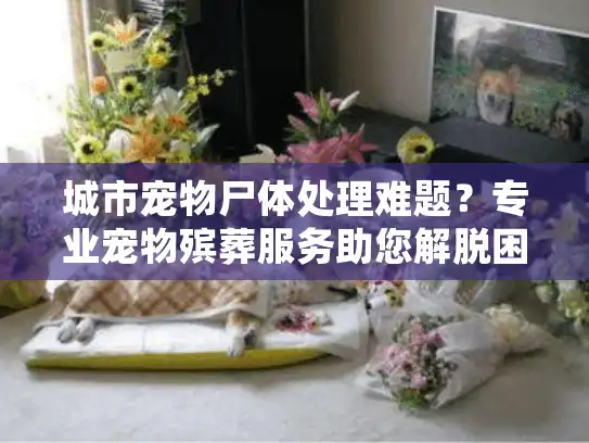 城市宠物尸体处理难题？专业宠物殡葬服务助您解脱困境