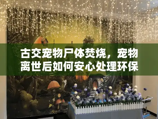 古交宠物尸体焚烧，宠物离世后如何安心处理环保问题？