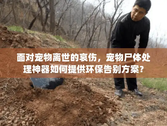 面对宠物离世的哀伤，宠物尸体处理神器如何提供环保告别方案？