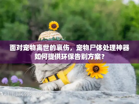 面对宠物离世的哀伤，宠物尸体处理神器如何提供环保告别方案？