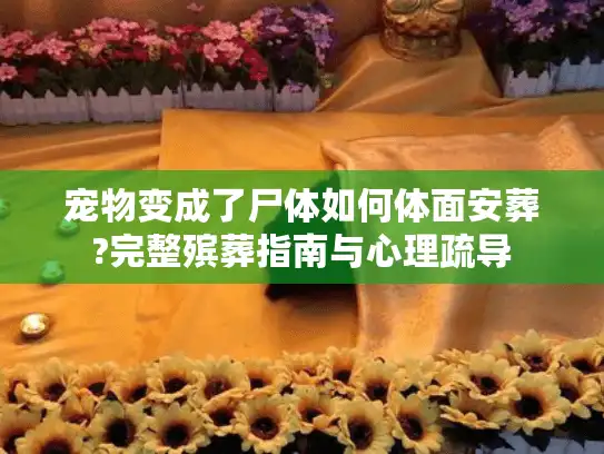 宠物变成了尸体如何体面安葬?完整殡葬指南与心理疏导