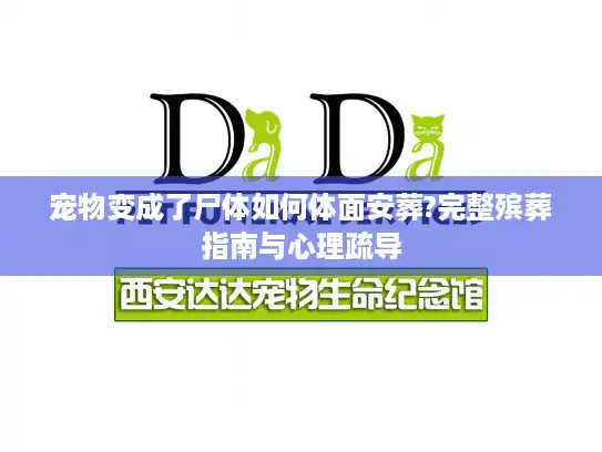 宠物变成了尸体如何体面安葬?完整殡葬指南与心理疏导