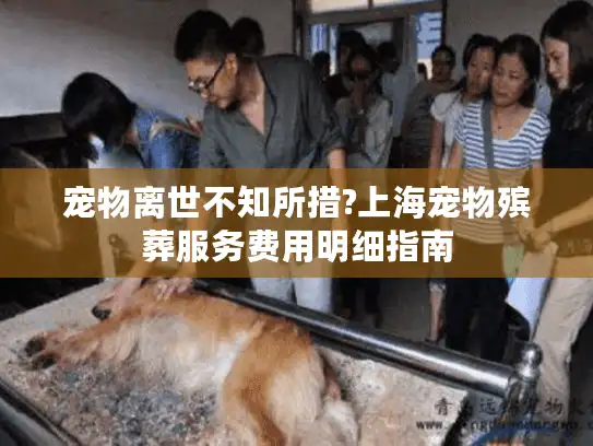 宠物离世不知所措?上海宠物殡葬服务费用明细指南