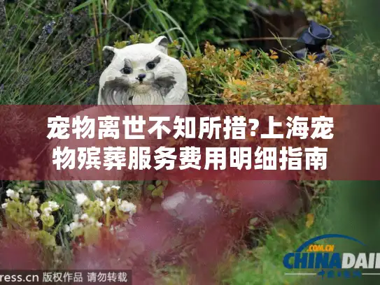 宠物离世不知所措?上海宠物殡葬服务费用明细指南
