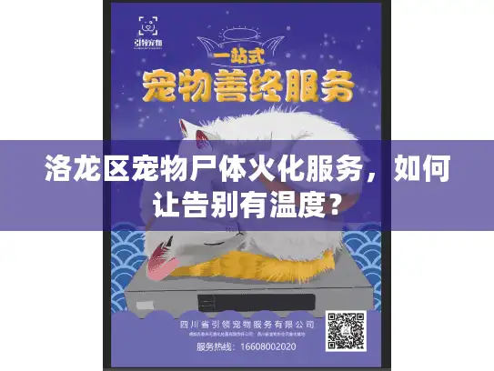 洛龙区宠物尸体火化服务，如何让告别有温度？