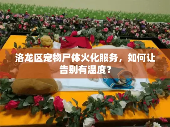 洛龙区宠物尸体火化服务，如何让告别有温度？