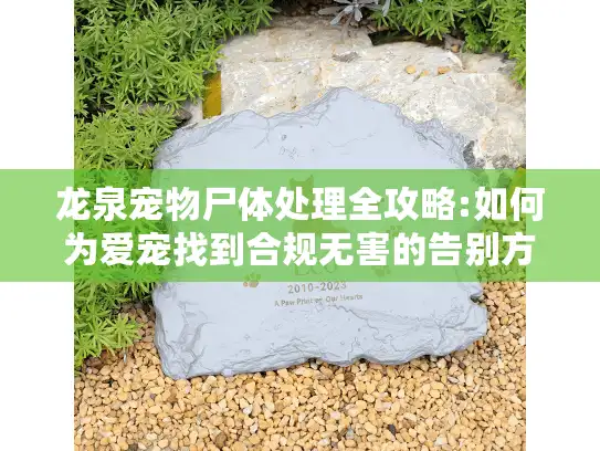 龙泉宠物尸体处理全攻略:如何为爱宠找到合规无害的告别方案