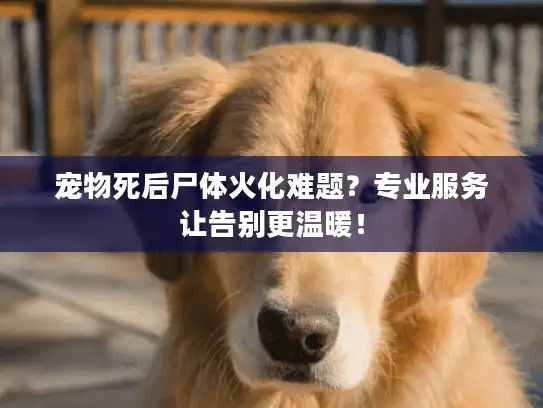 宠物死后尸体火化难题？专业服务让告别更温暖！