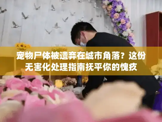 宠物尸体被遗弃在城市角落？这份无害化处理指南抚平你的愧疚