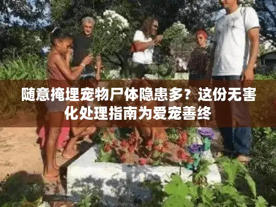 随意掩埋宠物尸体隐患多？这份无害化处理指南为爱宠善终