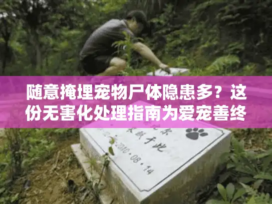 随意掩埋宠物尸体隐患多？这份无害化处理指南为爱宠善终