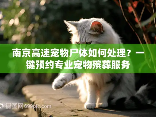 南京高速宠物尸体如何处理？一键预约专业宠物殡葬服务