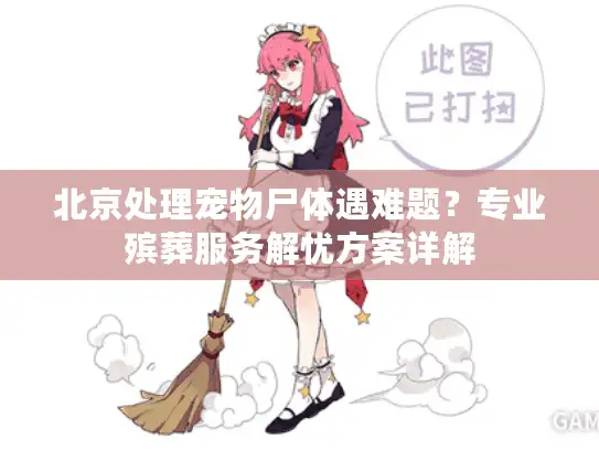 北京处理宠物尸体遇难题？专业殡葬服务解忧方案详解