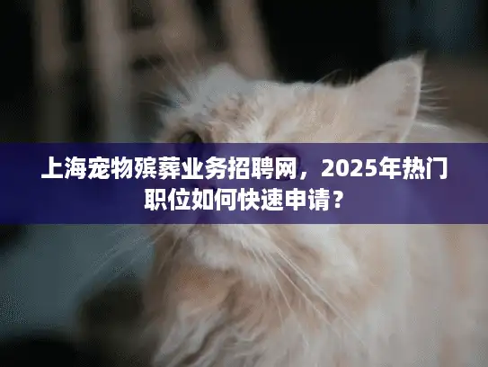 上海宠物殡葬业务招聘网，2025年热门职位如何快速申请？