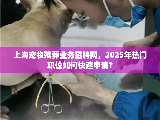 上海宠物殡葬业务招聘网，2025年热门职位如何快速申请？