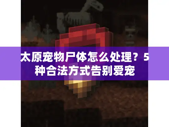 太原宠物尸体怎么处理？5种合法方式告别爱宠