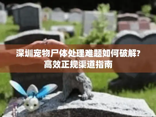 深圳宠物尸体处理难题如何破解?高效正规渠道指南