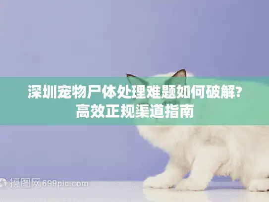 深圳宠物尸体处理难题如何破解?高效正规渠道指南