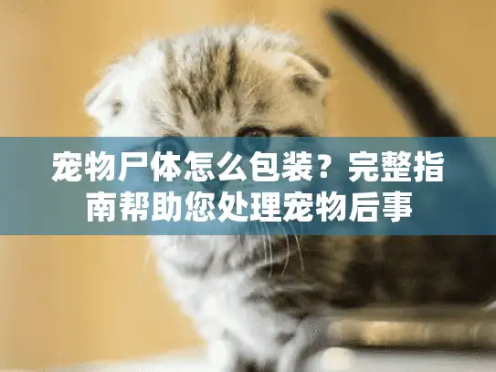 宠物尸体怎么包装？完整指南帮助您处理宠物后事