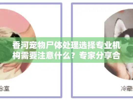 香河宠物尸体处理选择专业机构需要注意什么？专家分享合理处理建议