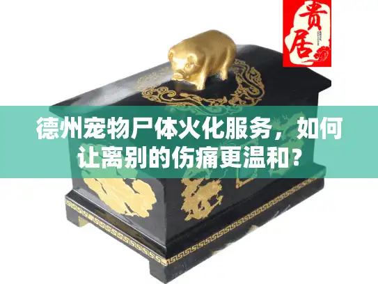 德州宠物尸体火化服务，如何让离别的伤痛更温和？