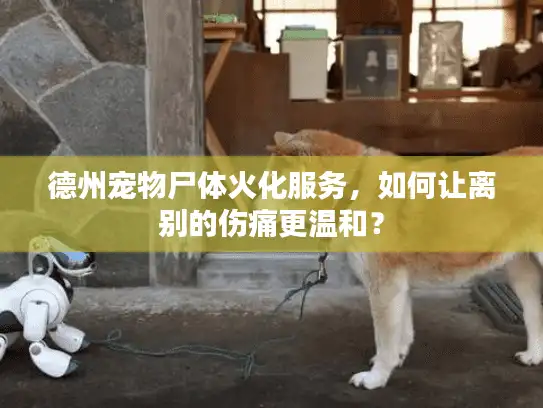 德州宠物尸体火化服务，如何让离别的伤痛更温和？