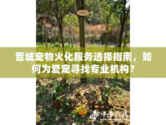 晋城宠物火化服务选择指南，如何为爱宠寻找专业机构？