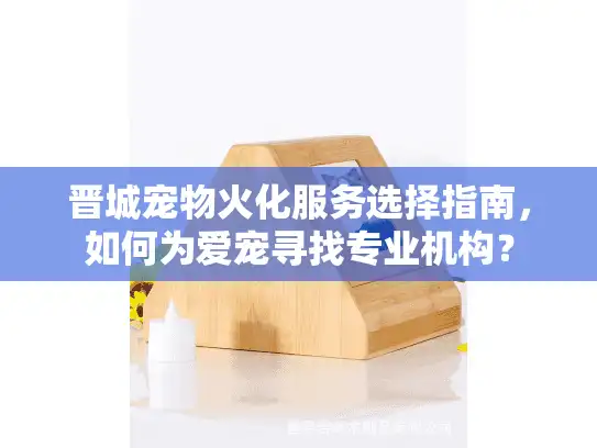晋城宠物火化服务选择指南，如何为爱宠寻找专业机构？