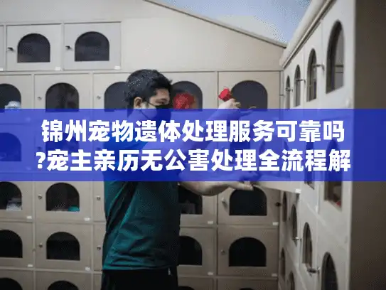 锦州宠物遗体处理服务可靠吗?宠主亲历无公害处理全流程解析