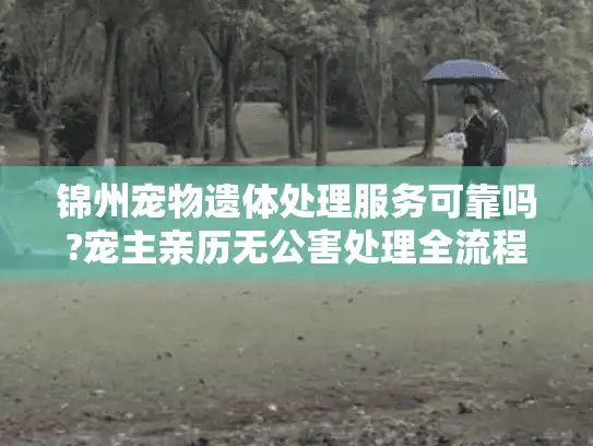 锦州宠物遗体处理服务可靠吗?宠主亲历无公害处理全流程解析