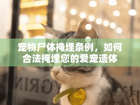 宠物尸体掩埋条例，如何合法掩埋您的爱宠遗体