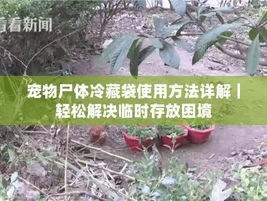 宠物尸体冷藏袋使用方法详解｜轻松解决临时存放困境