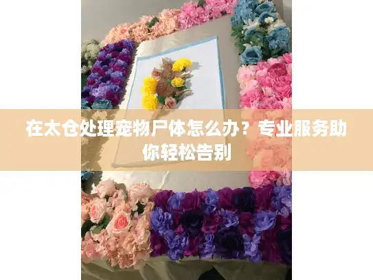 在太仓处理宠物尸体怎么办？专业服务助你轻松告别