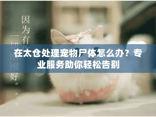 在太仓处理宠物尸体怎么办？专业服务助你轻松告别